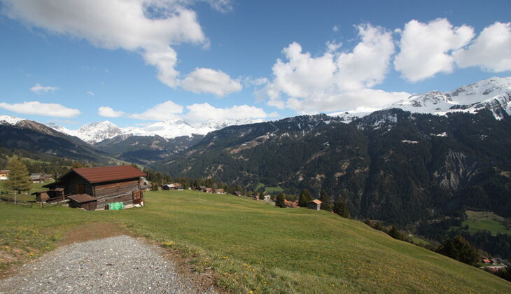 Bauernhaus mit Stall und Garten in Feldis